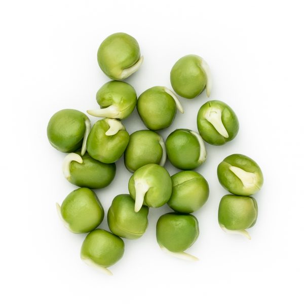 BABYÆRTER